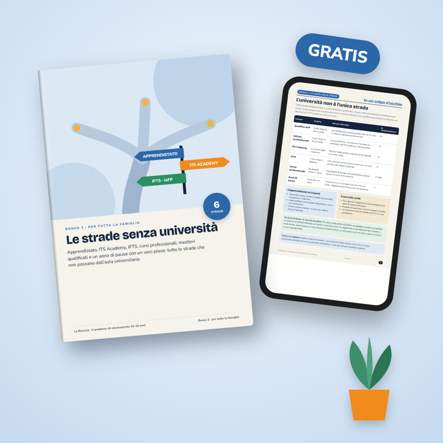 Bonus 3: Le strade senza università
